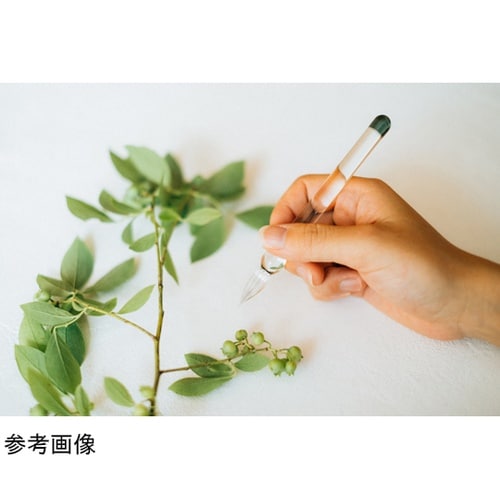 毎日使いたいガラスペン GROOM ライ