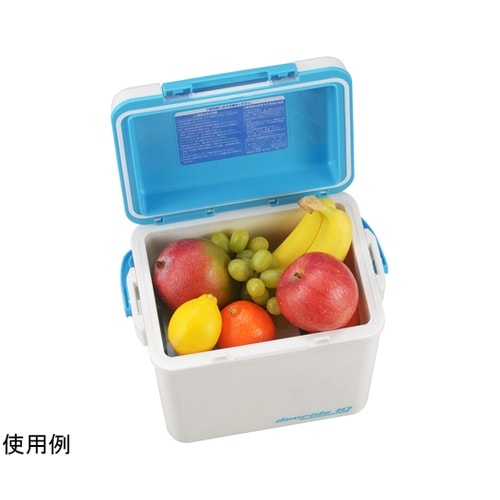 クーラーボックス 8L デオライド10