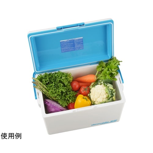 クーラーボックス 24.5L デオライド