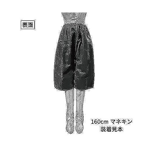 検査用ディスポパンツ ブラック 1袋(2