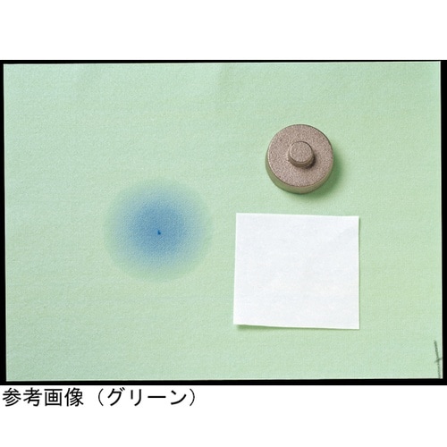 サラッキーシーツ グリーン 2222