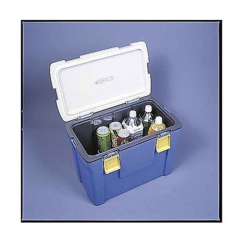 クーラーボックス 25L クールエース