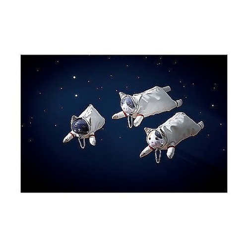 ペンケース アストロキャット ネコ 猫