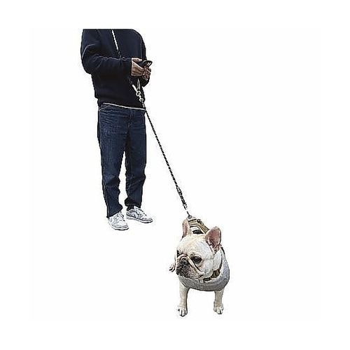 リード ショルダーリード 犬 パープル