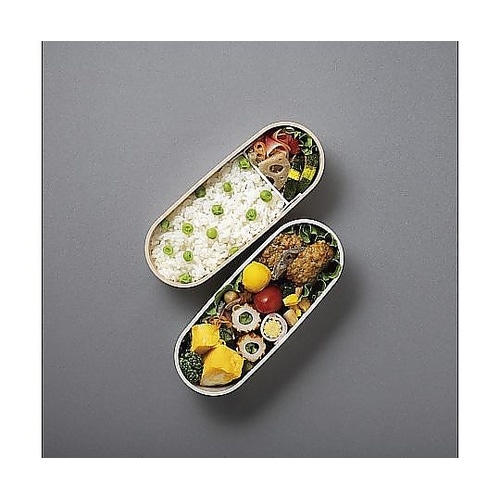 弁当箱 600mL フレッシュランチボッ