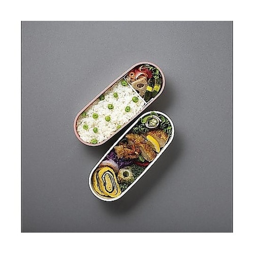 弁当箱 600mL フレッシュランチボッ