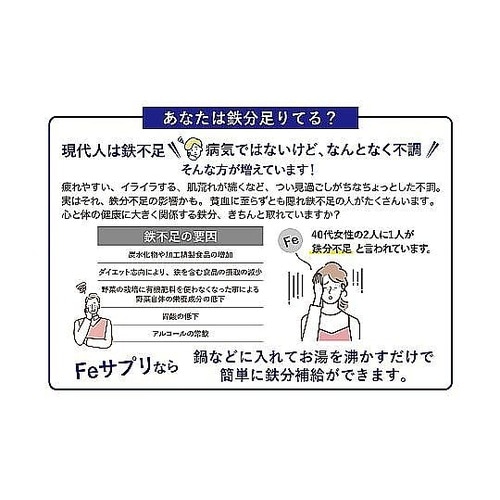 鉄玉 Feサプリ 鉄分補給 漬物 貧血