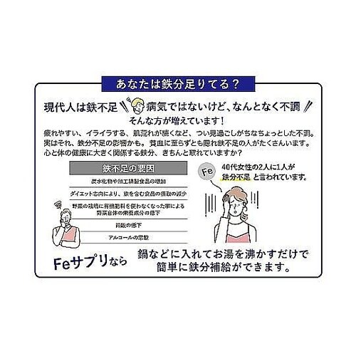 鉄玉 Feサプリ 鉄分補給 漬物 貧血