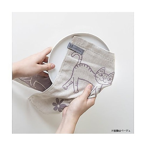 布巾 おかべてつろう Ag+ 抗菌 ふき