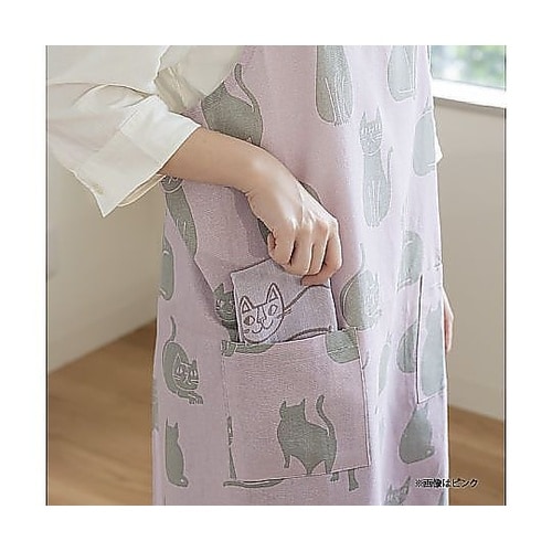 布巾 おかべてつろう Ag+ 抗菌 ふき