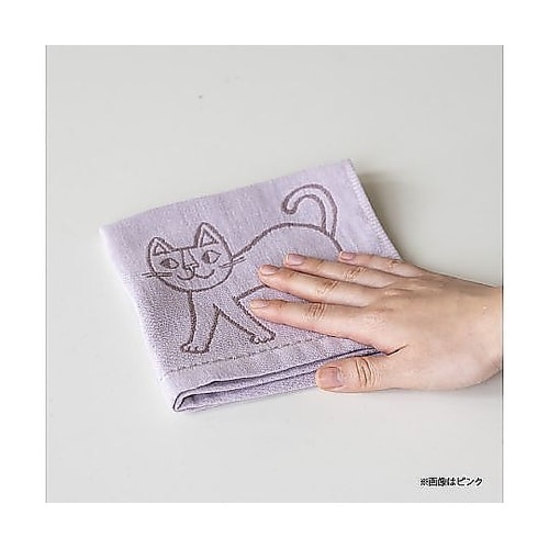 布巾 おかべてつろう Ag+ 抗菌 ふき