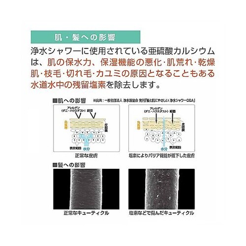 浄水FBシャワセット PS7964−CT