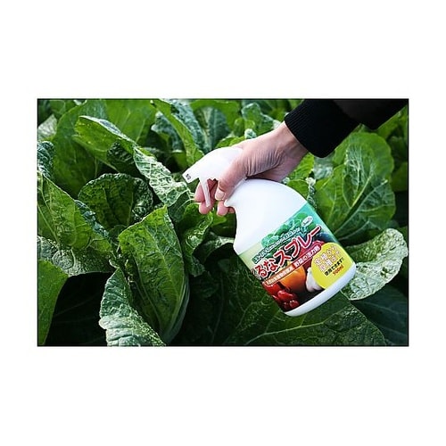 野菜の活力剤 くるなスプレー