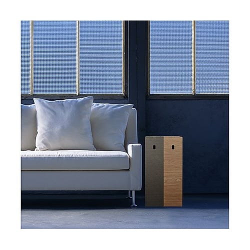 ゴミ箱 20L バスク ダストBOX ス