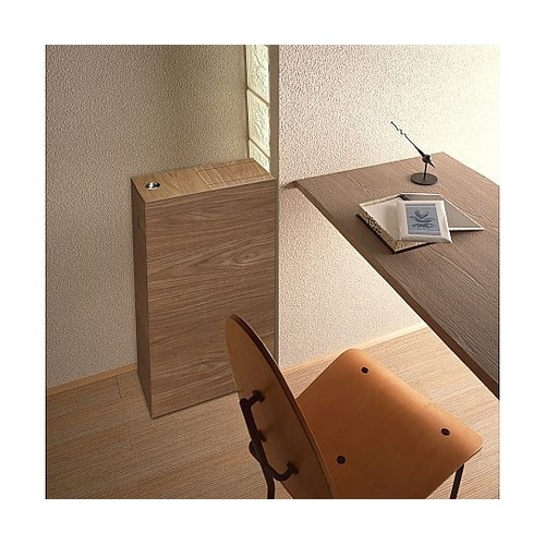 ゴミ箱 20L バスク ダストBOX ス