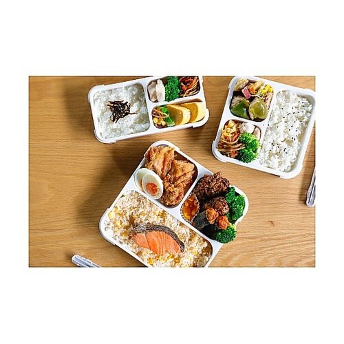 弁当箱 800mL 抗菌 フードマン F