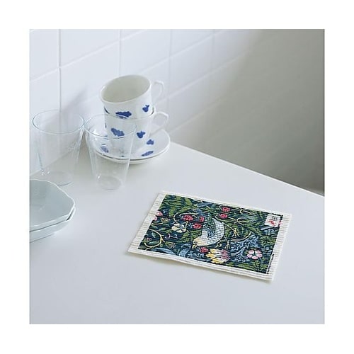 スポンジ イチゴドロボウ 吸水 エコンフ