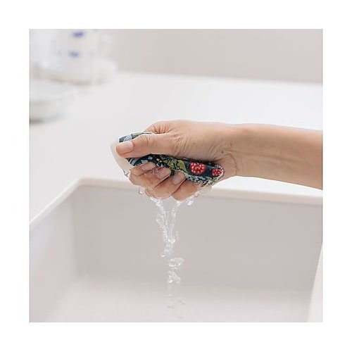 スポンジ イチゴドロボウ 吸水 エコンフ