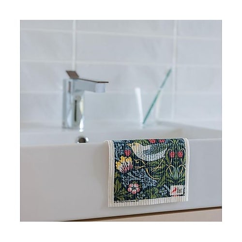 スポンジ イチゴドロボウ 吸水 エコンフ