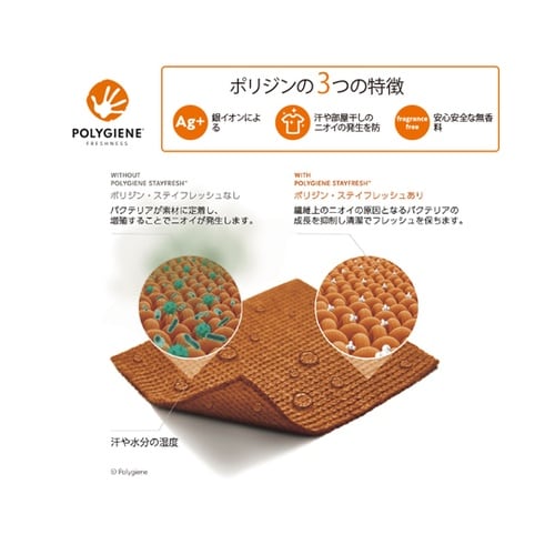 ユニセックスボタンダウン半袖シャツ ホワ