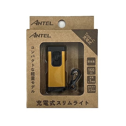 充電式スリムライトゴールド HX10LT