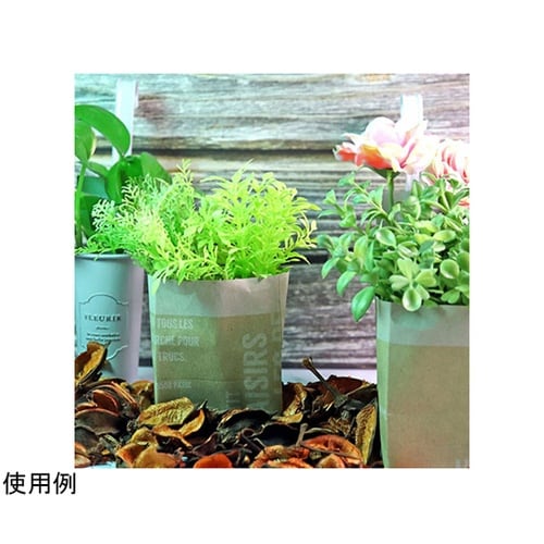 ウェブスタジオフルセット WS−700F