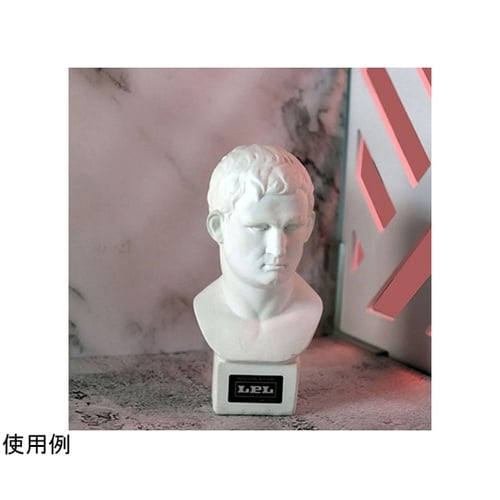 ウェブスタジオフルセット WS−700F