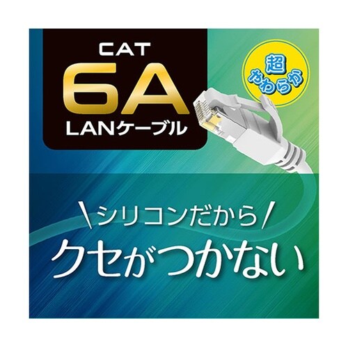 CAT.6A LANケーブル 1m ホワ