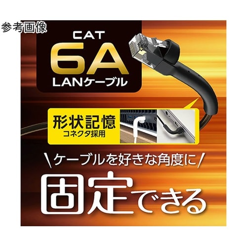 CAT6A LANケーブル 2m ブラッ
