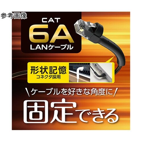 CAT6A LANケーブル 10m ホワ