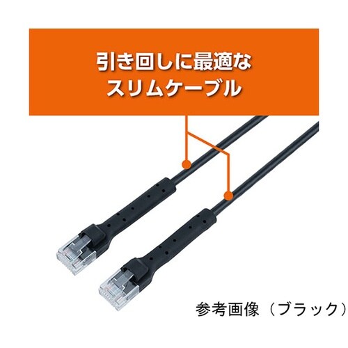 CAT6A LANケーブル 10m ホワ