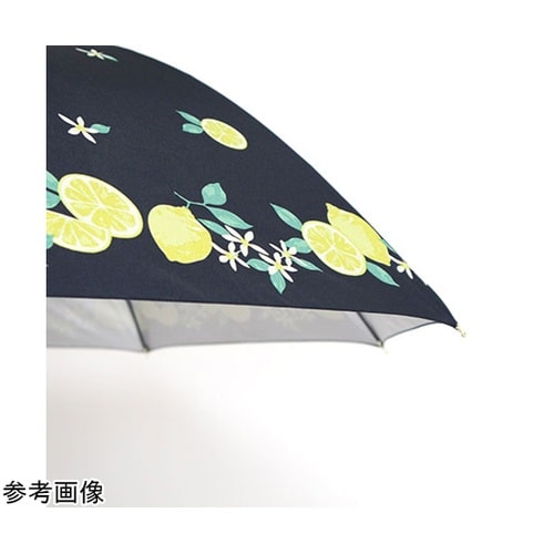 MKN シルバーコーティング雨晴兼用60