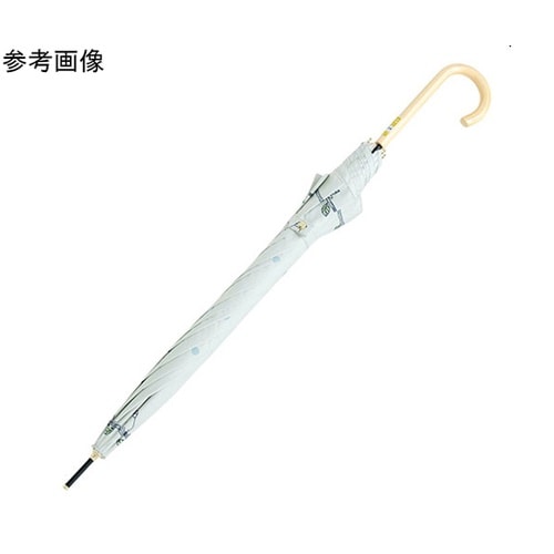 MKN シルバーコーティング雨晴兼用 6