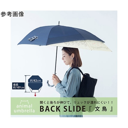 MKN 60cmジャンプ バックスライド