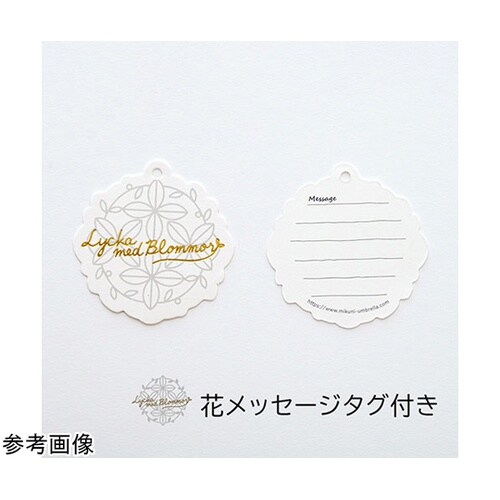 MKN 55cm耐風楽ミニ傘 ザクロとシ