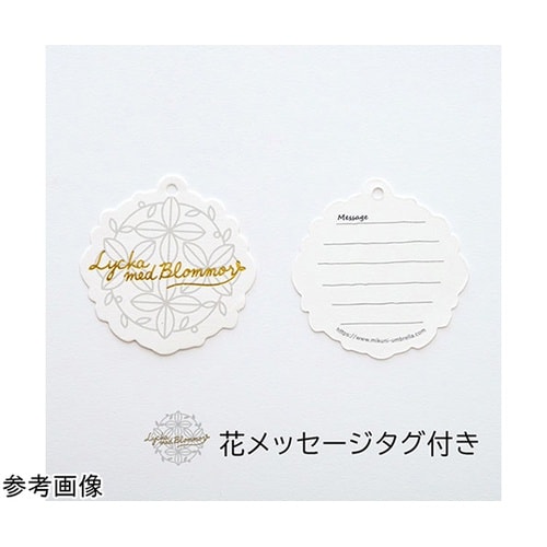 MKN 50cm軽量コンパクトミニ傘 ザ