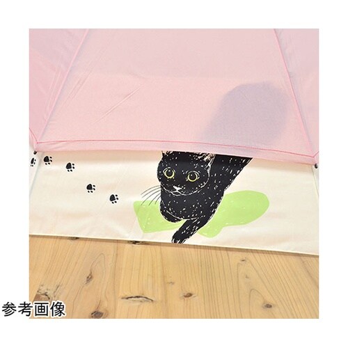 MKN 60cmジャンプ バックスライド