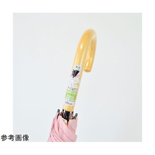MKN 60cmジャンプ バックスライド