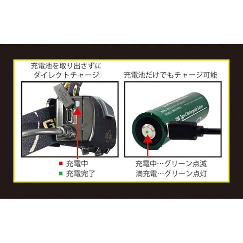 充電式 LEDヘッドライト RVH10R