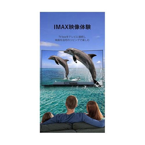 HDMI ケーブル 4K対応 20m ブ