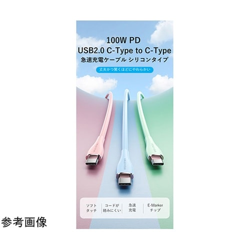 100W PDUSB 2.0 C−Typ