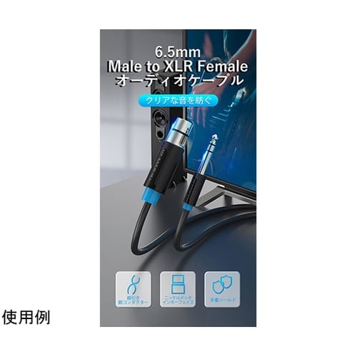 6.5mm Male to XLR Fe