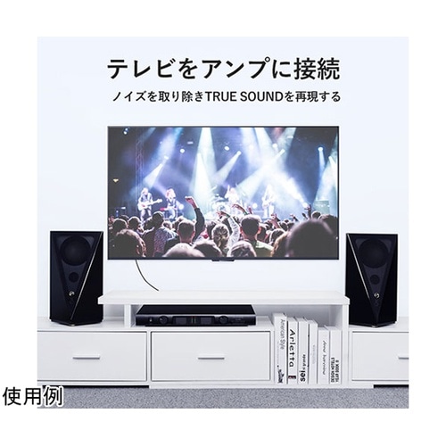 2RCA Male to Male オー