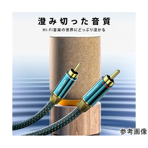 2RCA Male to 2RCA Ma