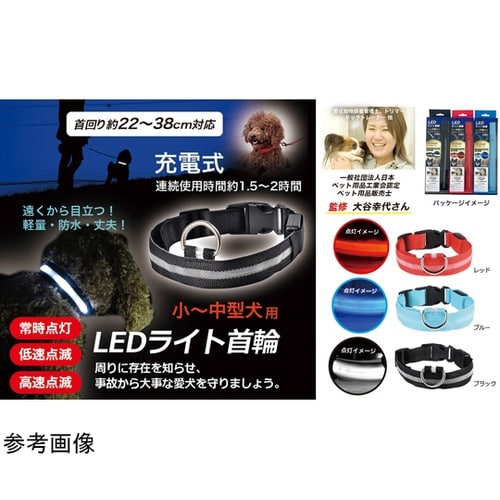 充電式LEDライト首輪 レッド DL−Y