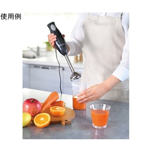 ラノー ステンレスハンディブレンダー M