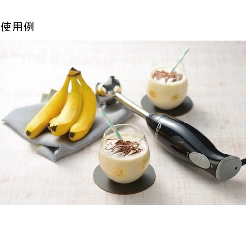 ラノー ステンレスハンディブレンダー M