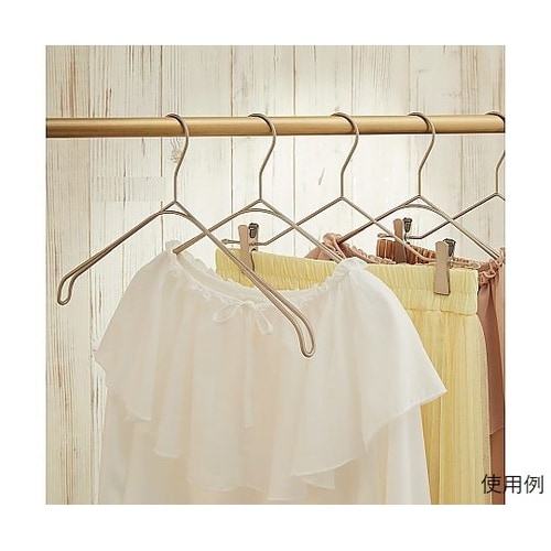 スマートハンガー ホワイトニッケルトップ