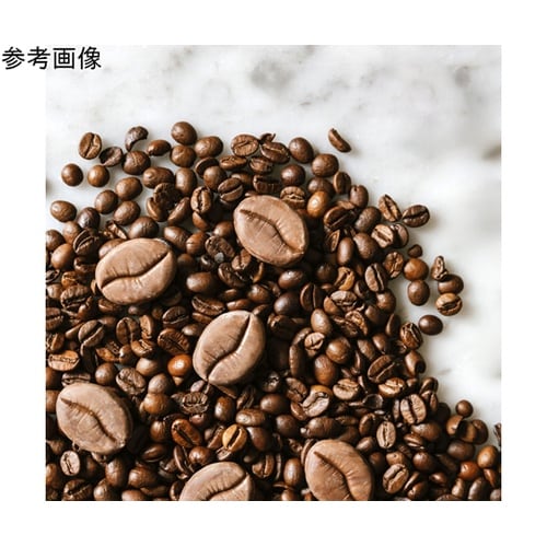 グラマンド 300×175mm ミニコー