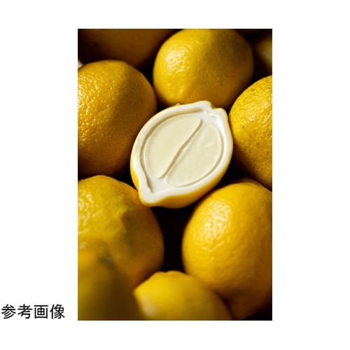 グラマンド 300×175mm ハーフレ